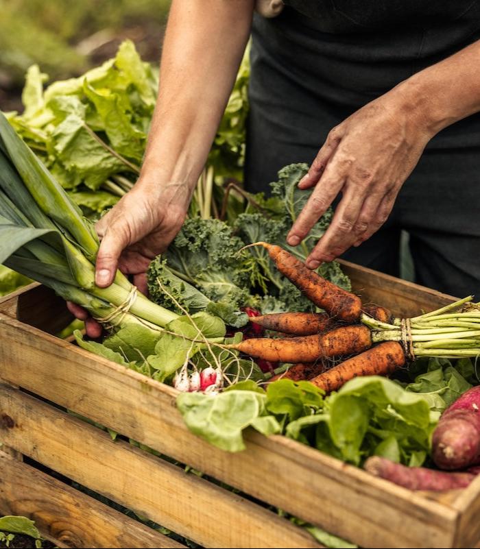 Image_farmer veggie haul.jpeg