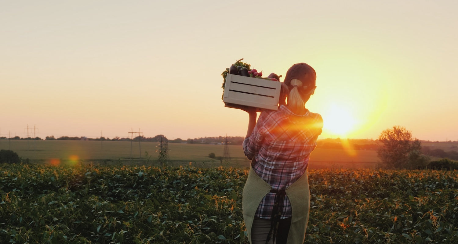 Farmer at sunset